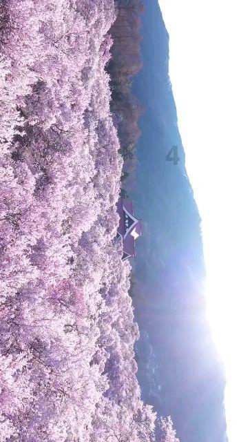 密室逃脱4之可怕的电影院